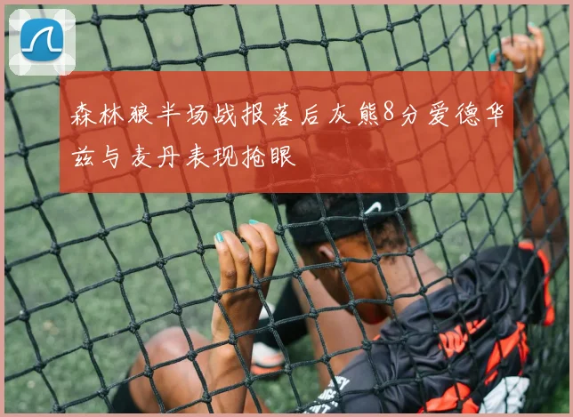 森林狼半场战报落后灰熊8分爱德华兹与麦丹表现抢眼